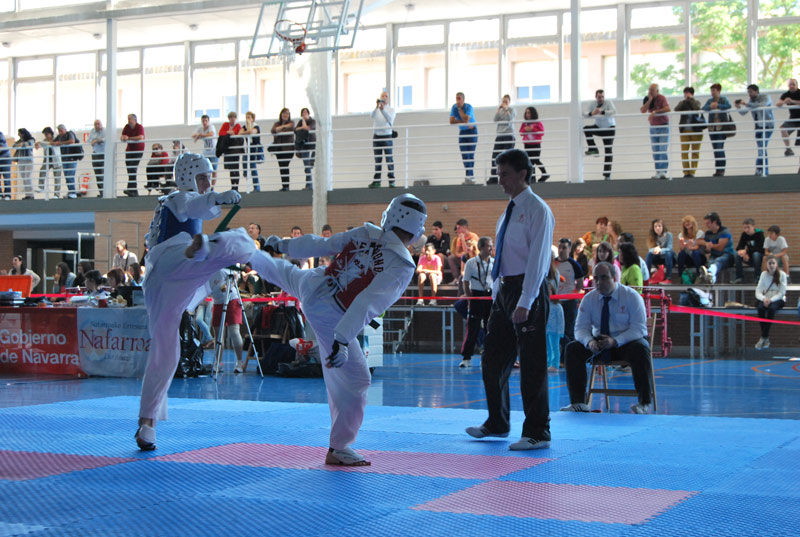 Triple jornada de Campeonatos Navarros en Puente la Reina